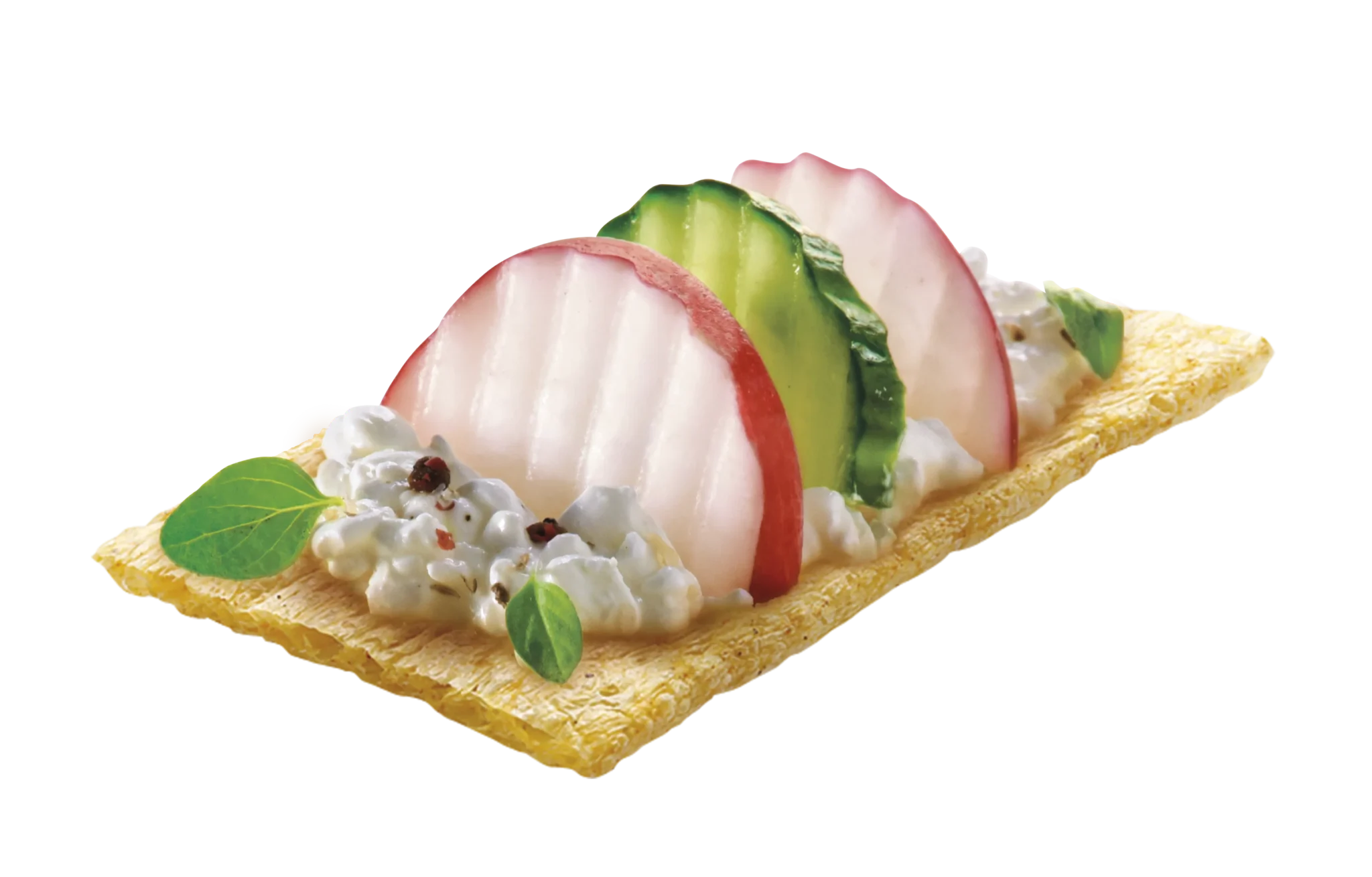 Abonett VeganPro protein crackerbread